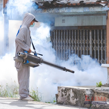 Mosquito Fogging